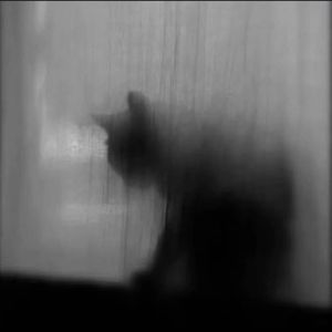 我们以后还会见面吗 完整（淋雨哪有不湿身）