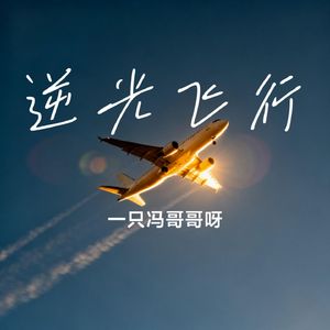 逆光飞行