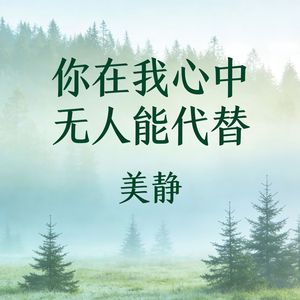 你在我心中无人能代替(伴奏)