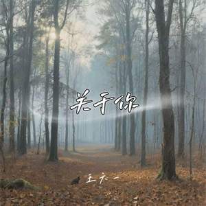 关于你