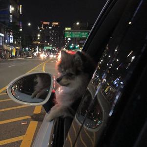 Cascada-Everytime We Touch / Wedding song (Bootleg)（Dark remix）