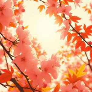 好きになってもらいたい