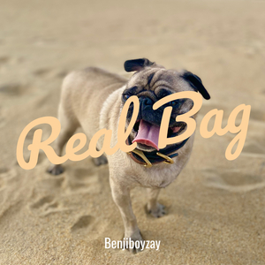 Real Bag