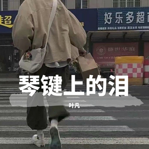 琴键上的泪（翻自 黄勇深）