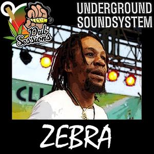 Selassie Send Mi Fi War (Answer Riddim) (feat. Zebra) (Dubplate)