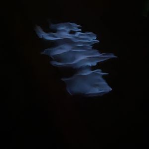 南部爱Pt1（prod by.Gray Planet）