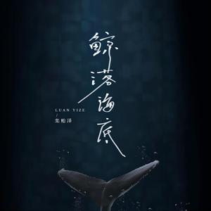 鲸落海底 (男声版)