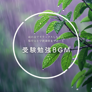 焚き火の温もりを感じるリフレッシュ作業用BGM (焚き火)