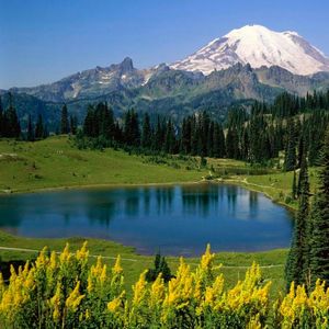 海边睡眠轻音乐