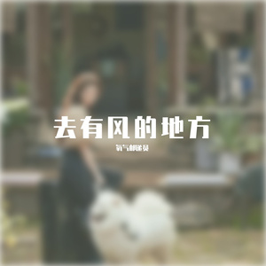 去有风的地方