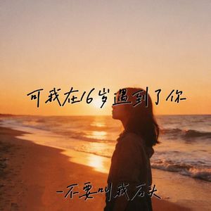 在我16岁遇到了你