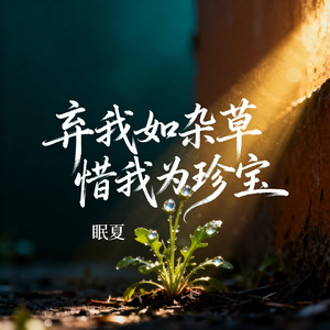 弃我如杂草 惜我为珍宝