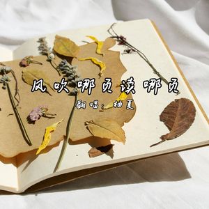 风吹哪页读哪页（cover：梨笑笑）