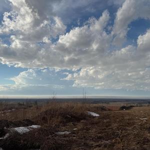 INSOMNIAC (ALLEGEDLY)