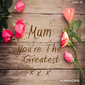 Nine Million Bicycles (Karaoke Version) (Originally Performed By Katie Melua)