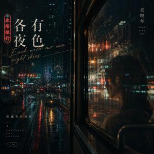 各有夜色