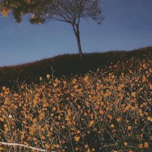 朦胧的她(Prod. Furyl, 4_Chords)