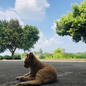 《当我六十岁的时候》完整版