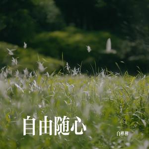 自由随心