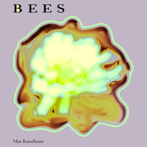 Bees