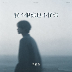 我不恨你 也不怪你
