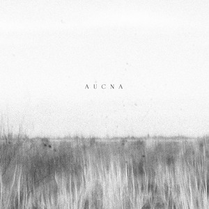 Aucna