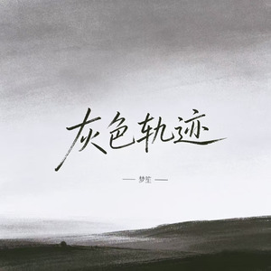 灰色轨迹(港风女版)