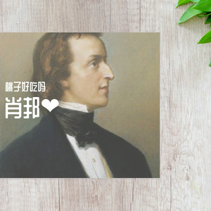 肖邦圆舞曲作品64第二条（翻自 陶馨玥）