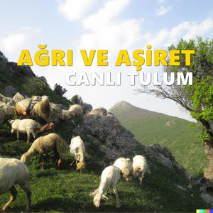 Doğubayazıt Tılım Eyar Canlı Tulum