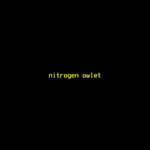 nitrogen owlet