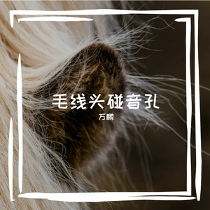 指临檀叫雌叶绦友