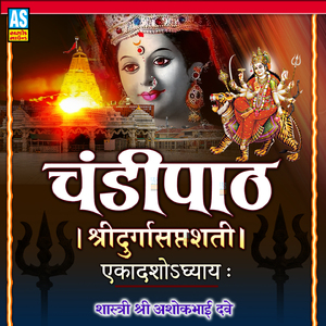 Chandi Path Ekadash Adhyay, Vol. 11 (Shri Durga Saptashati)