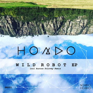 Wild Robot (Original Mix)