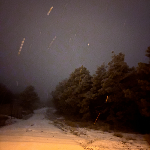 Присутствие