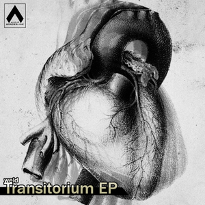 Transitorium (Original Mix)
