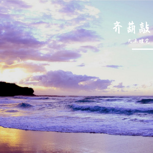 齐蝴敲