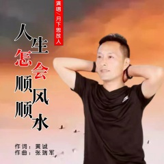 人生怎会顺风顺水 (伴奏)(DJ伟然版)