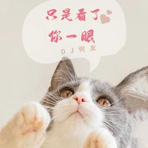 小阿玲 - 只是看了你一眼（DJ何友版）