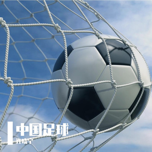 绿茵战歌(金属男版)