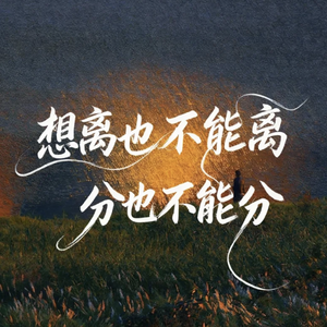 想离也不能离 分也不能分(烟嗓版)