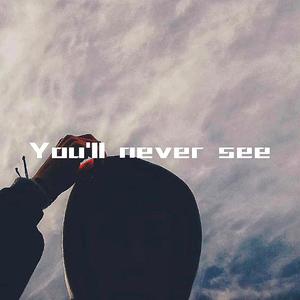 You'll never see