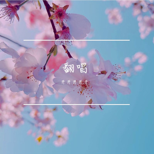 君ノ記憶 【薄樱鬼动画第一季ED翻唱】