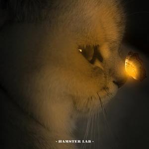 別怕我傷心 - Let the Heartbreak Be Mine