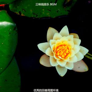 抚慰的放松回忆