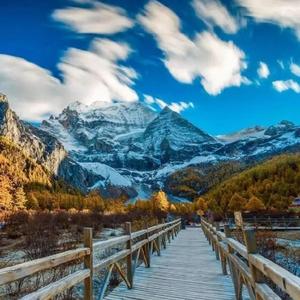 若我可以重新爱你