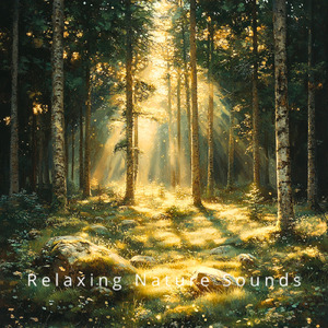 Complete Sleep Solution