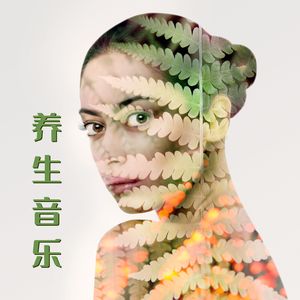 养生音乐