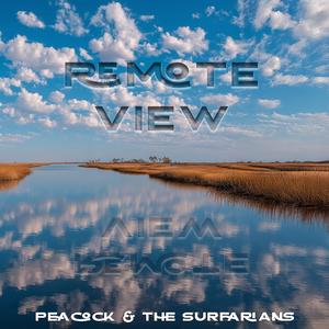 Remote View (mike)
