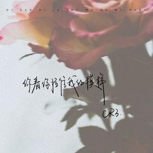 你看你拉住我的模样