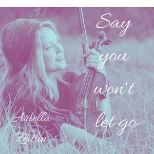 Say You Won't Let Go (Instrumental)